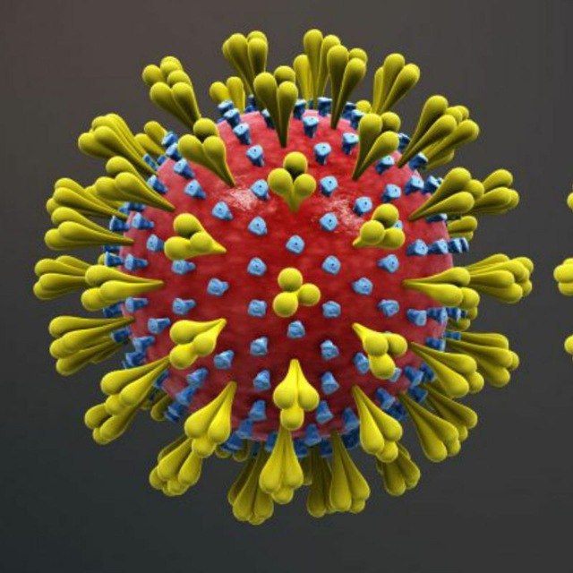 Corona Virus Ultime Informazioni