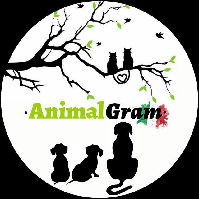 AnimalGram