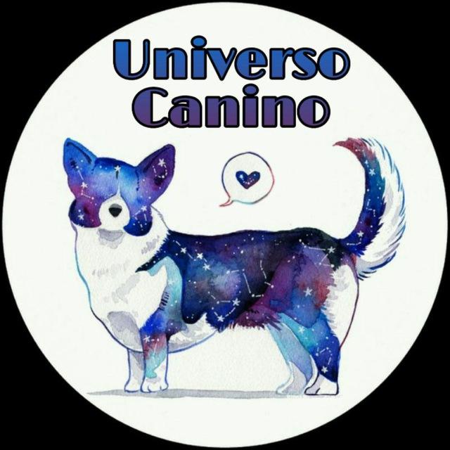 Universo Canino