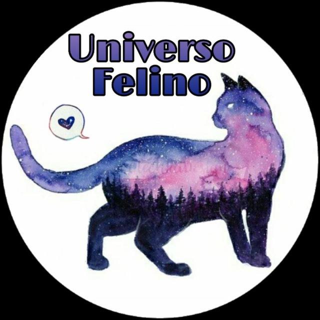 Universo Felino