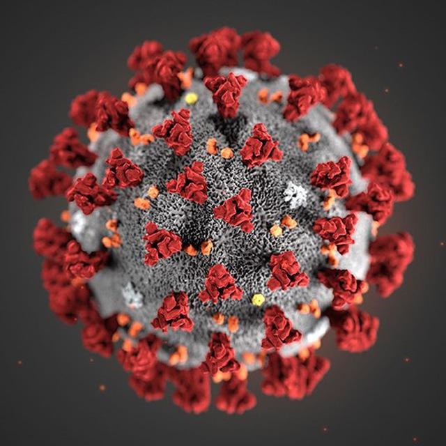 Coronavirus - Dati e Analisi