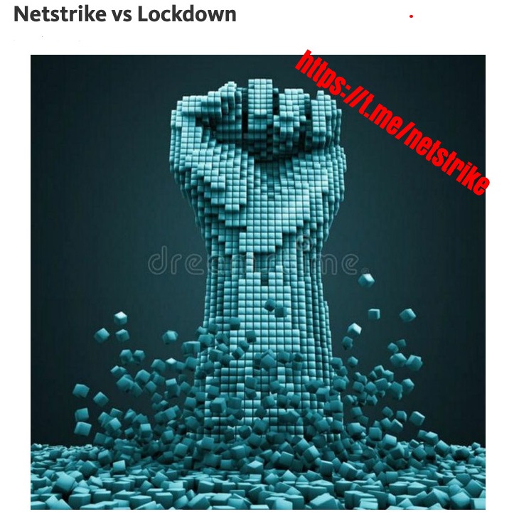 Netstrike