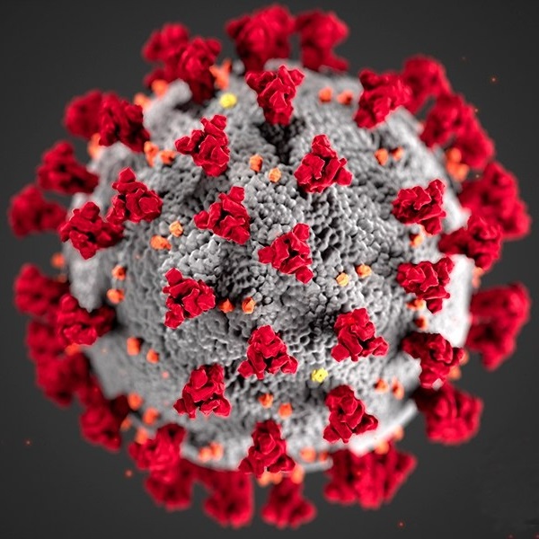 Coronavirus Trentino Bot