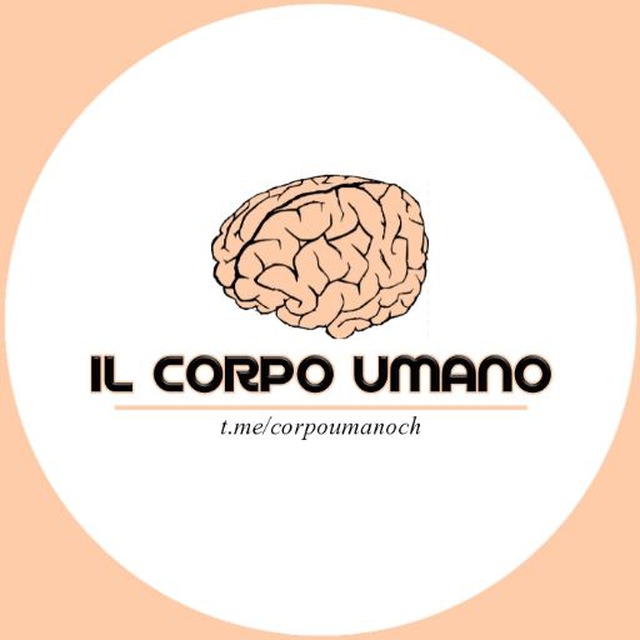 Il Corpo Umano