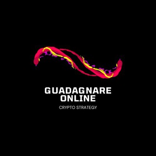 Cripto Airdrop Hunter