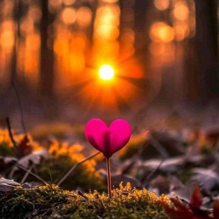 Alchimiadelleessenze-Medicina Vibrazionale,Spiritualità, Floriterapia: La Parola dell'Anima