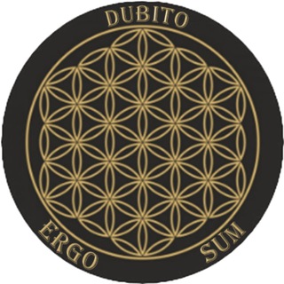 DUBITO ERGO SUM