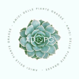 PIANTE GRASSE & i suoi amici