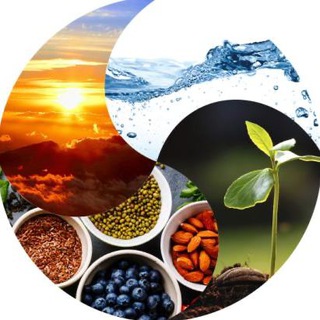 Scienza e Arte della Salute